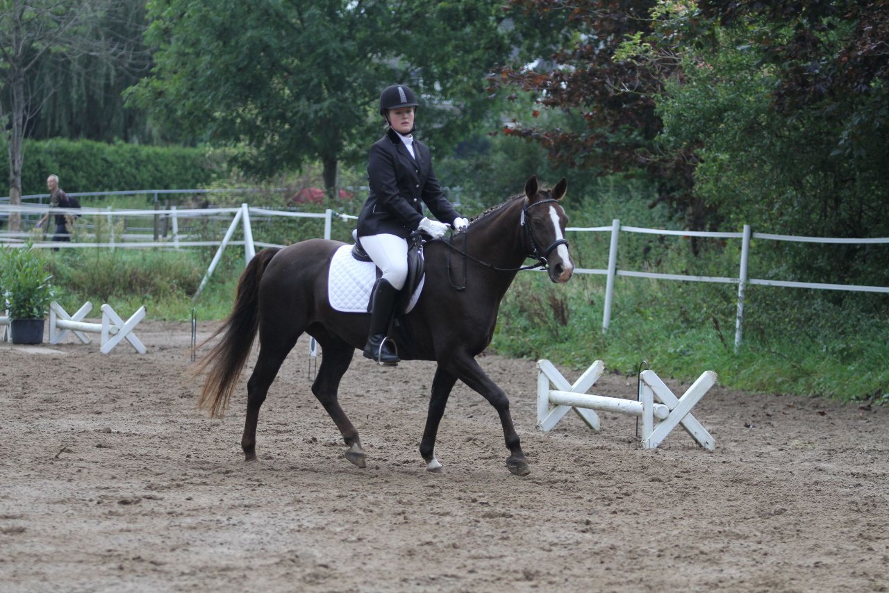 Bild 470 - WBO-Turnier am 18.9.11